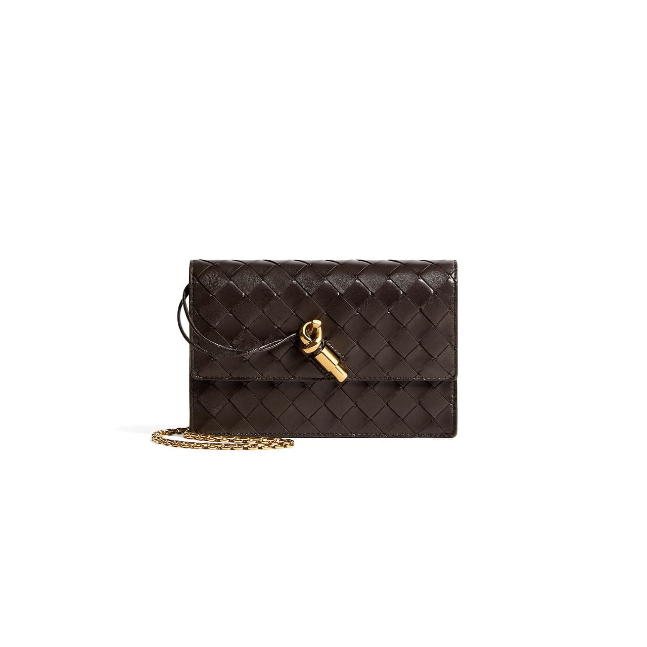 BOTTEGA VENETA ANDIAMO POUCH ON CHAIN 844107VCPP22190 (19 × 12.5 × 4 cm) — Bags