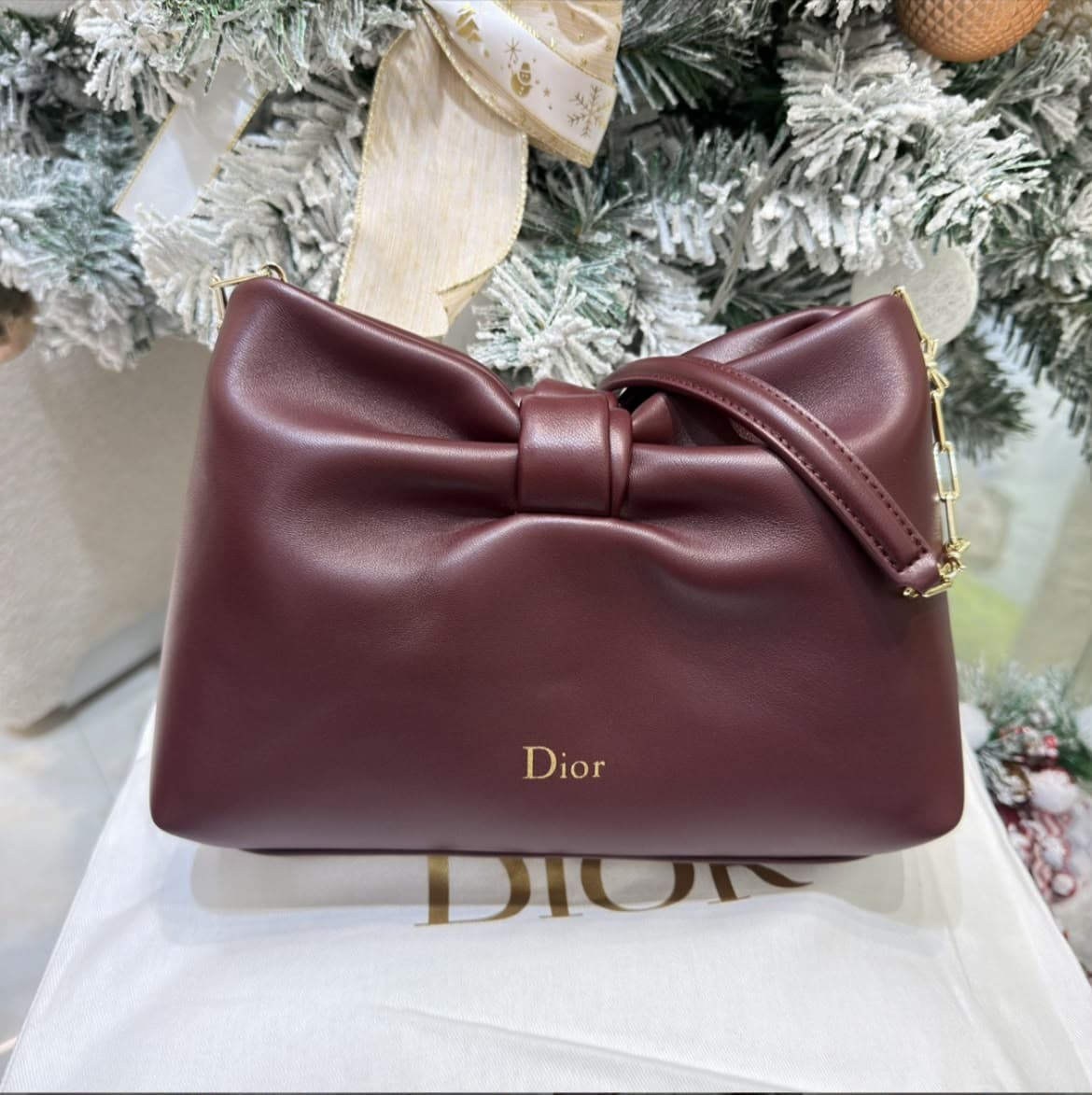 DIOR BOW BAG. Size: 26 x 16 x 10 cm — Bags