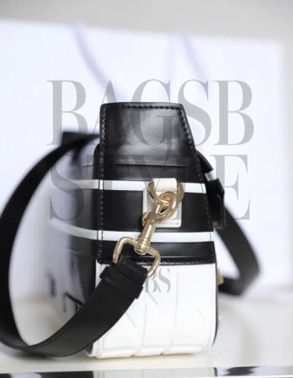 DIOR CAMP. Size: 23 x 15 x 8 cm / 9 x 6 x 3 inches (Length x Height x Width) — Bags