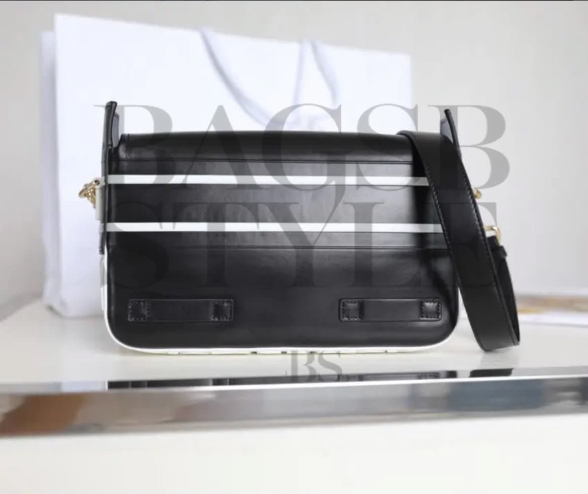 DIOR CAMP. Size: 23 x 15 x 8 cm / 9 x 6 x 3 inches (Length x Height x Width) — Bags