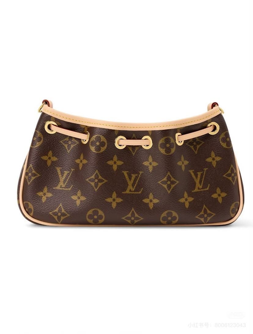 LOUIS VUITTON MASTER NANO FRIVOLE M29537 (24 × 13 × 8 cm) — Bags